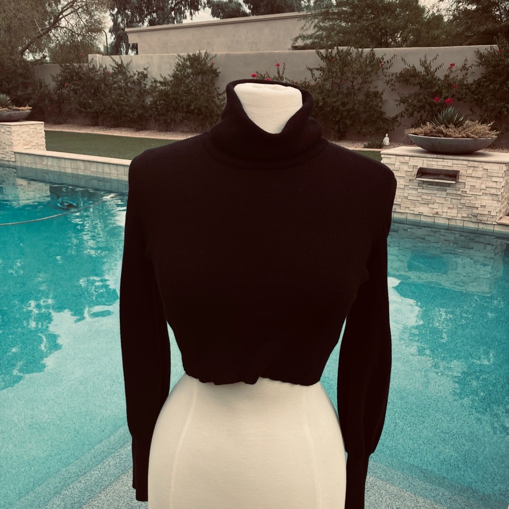 New Aritzia Wilfred Merino Wool Crop Turtleneck Sweater- Black, XS